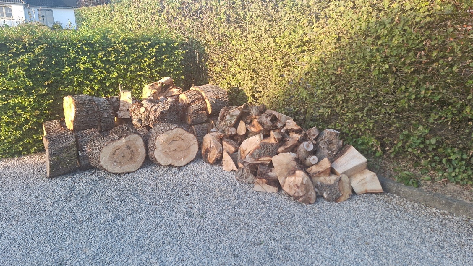 brandhout knotwilg, Jardin & Terrasse, Bois de chauffage, Troncs d'arbres, Autres essences de bois, 3 à 6 m³, Enlèvement