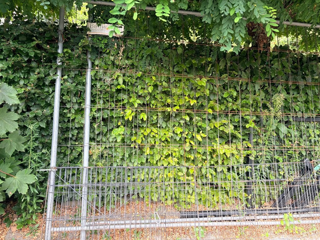Werfhekken 2 stuks, Tuin en Terras, Ophalen, Gebruikt, Aluminium, Overige typen