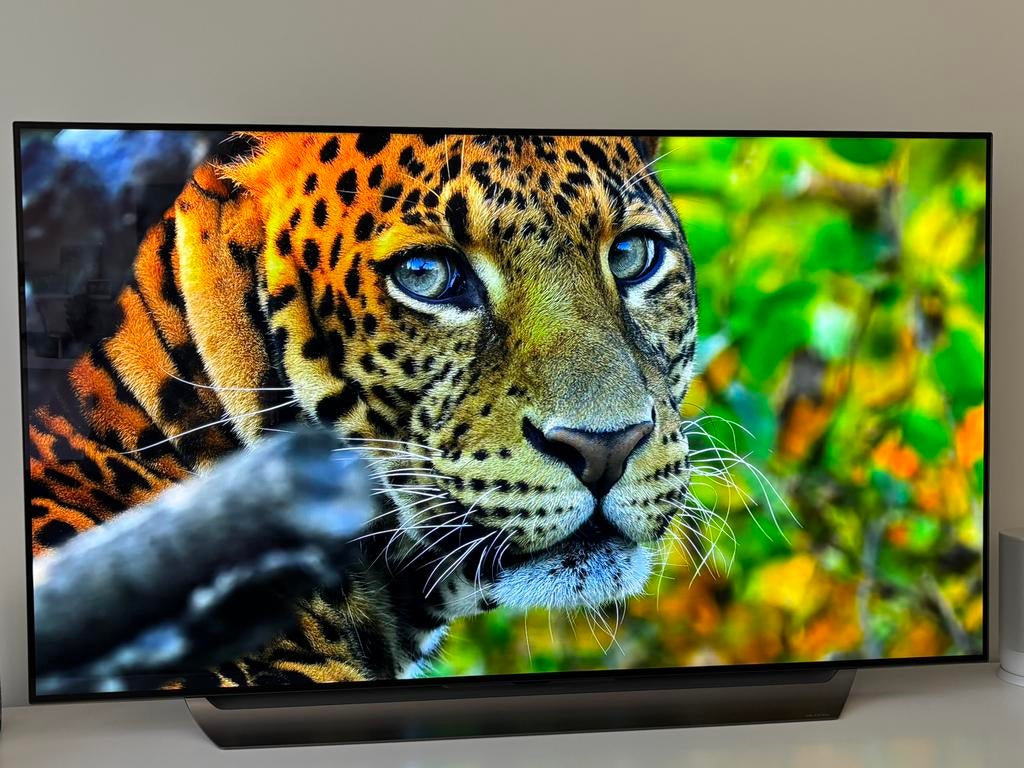 LG OLED 65C8PLA, OLED, Utilisé, 100 cm ou plus, 4k (UHD)