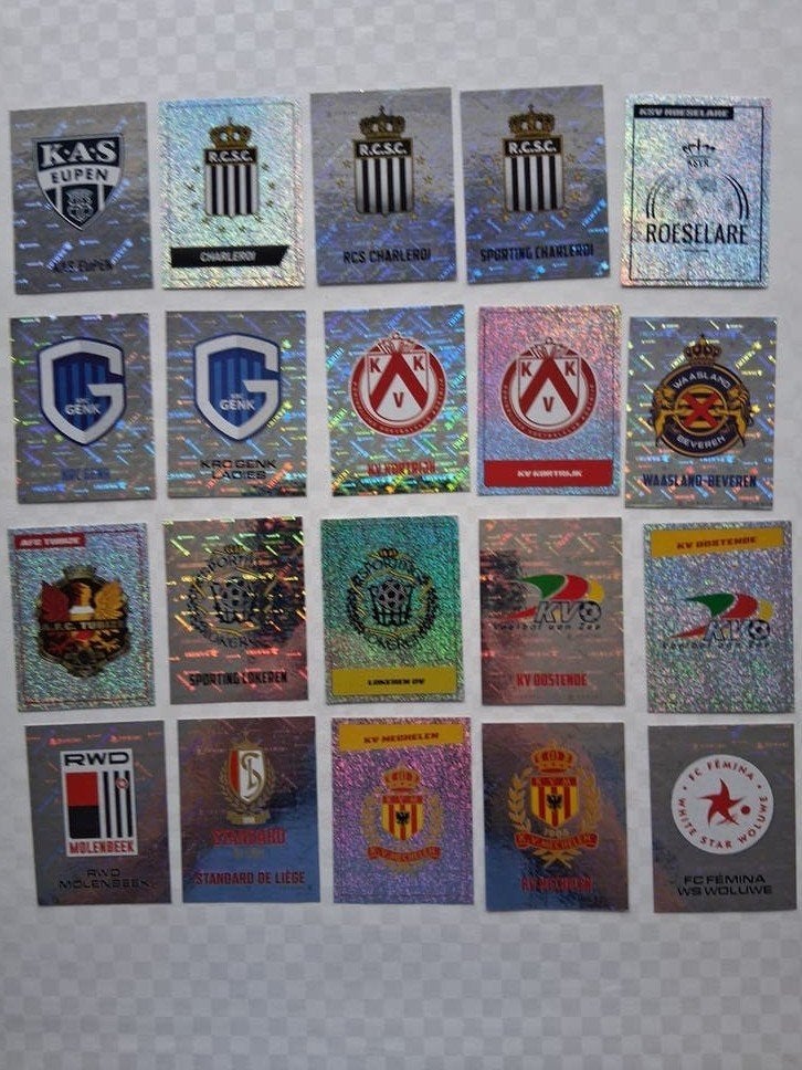 Panini-stickers en emblemen, Verzamelen, Ophalen of Verzenden, Nieuw, Sport