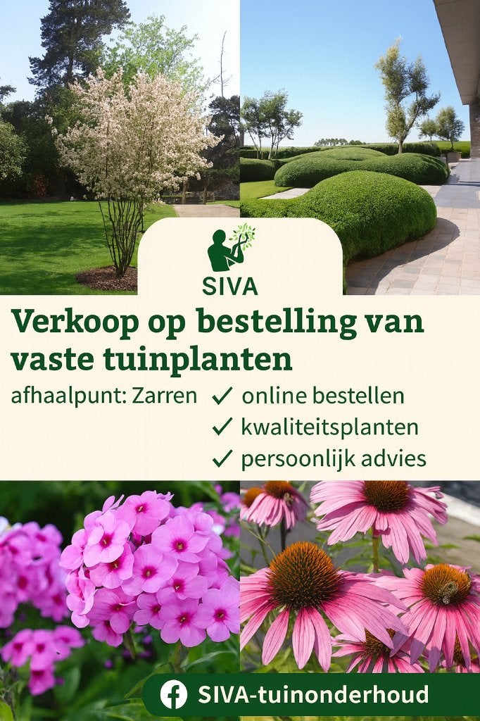 Vaste tuinplanten op bestelling, Ophalen