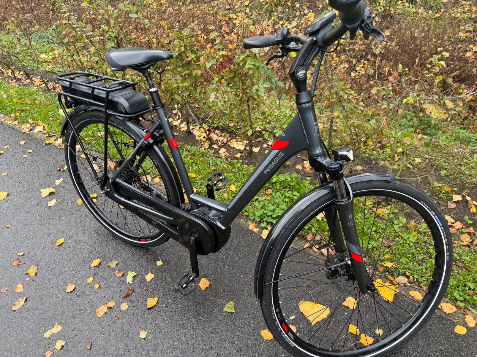 Elektronische fiets Pegasus 14463 km, Fietsen en Brommers, Ophalen of Verzenden, Gebruikt, Overige merken