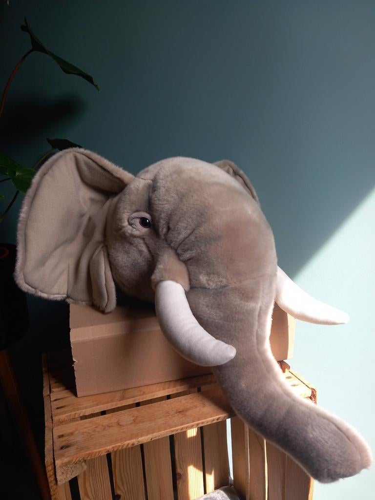 Wild & Soft olifant hoofd, Ophalen, Zo goed als nieuw