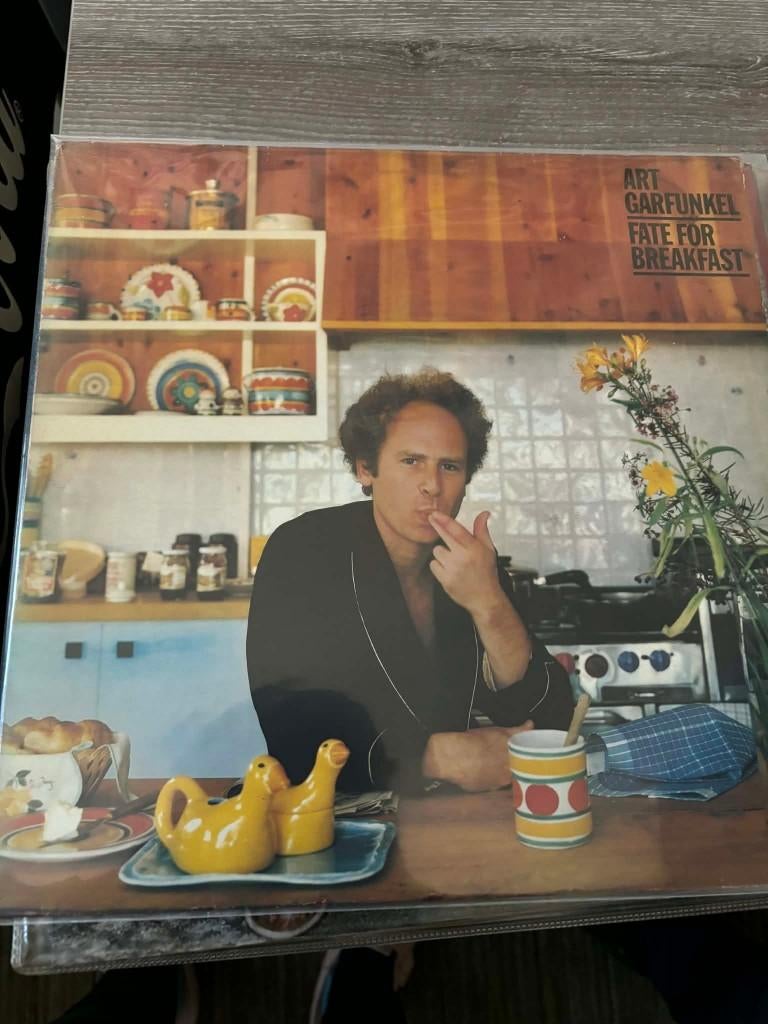 lp, Art Garfunkel, fate for breakfast, voor slechts 10 euro., Inclusief binnenhoes, Ophalen of Verzenden, Zo goed als nieuw, 12 inch