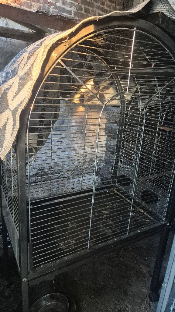 Cage perroquet, Enlèvement, Utilisé, Cage à oiseaux