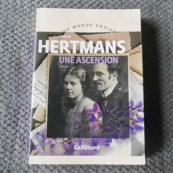 Une ascension ( Stefan Hertmans ), Boeken, Historische romans, Ophalen of Verzenden, Gelezen