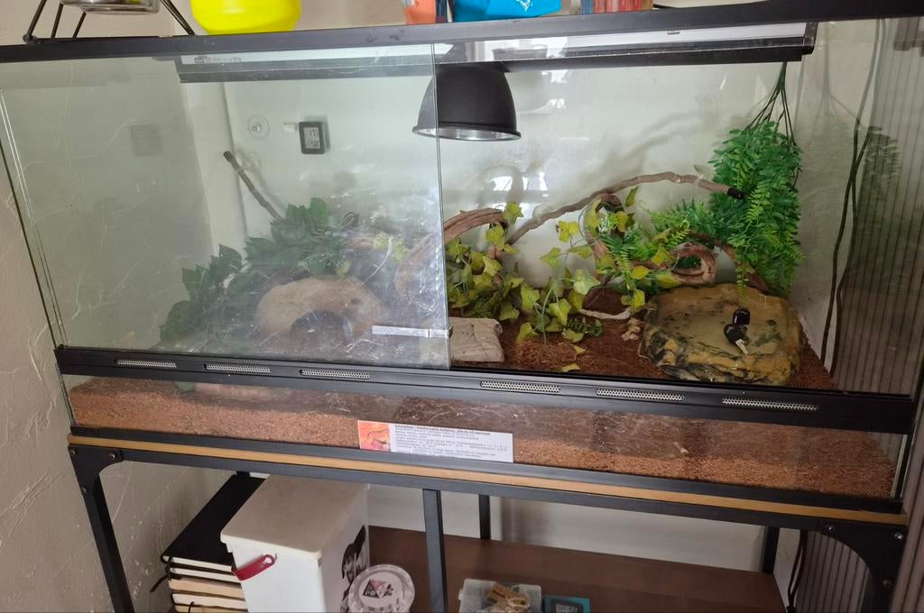 Terrarium 100x50x50, Animaux & Accessoires, Reptiles & Amphibiens | Accessoires, Enlèvement, Comme neuf, Terrarium ou Paludarium