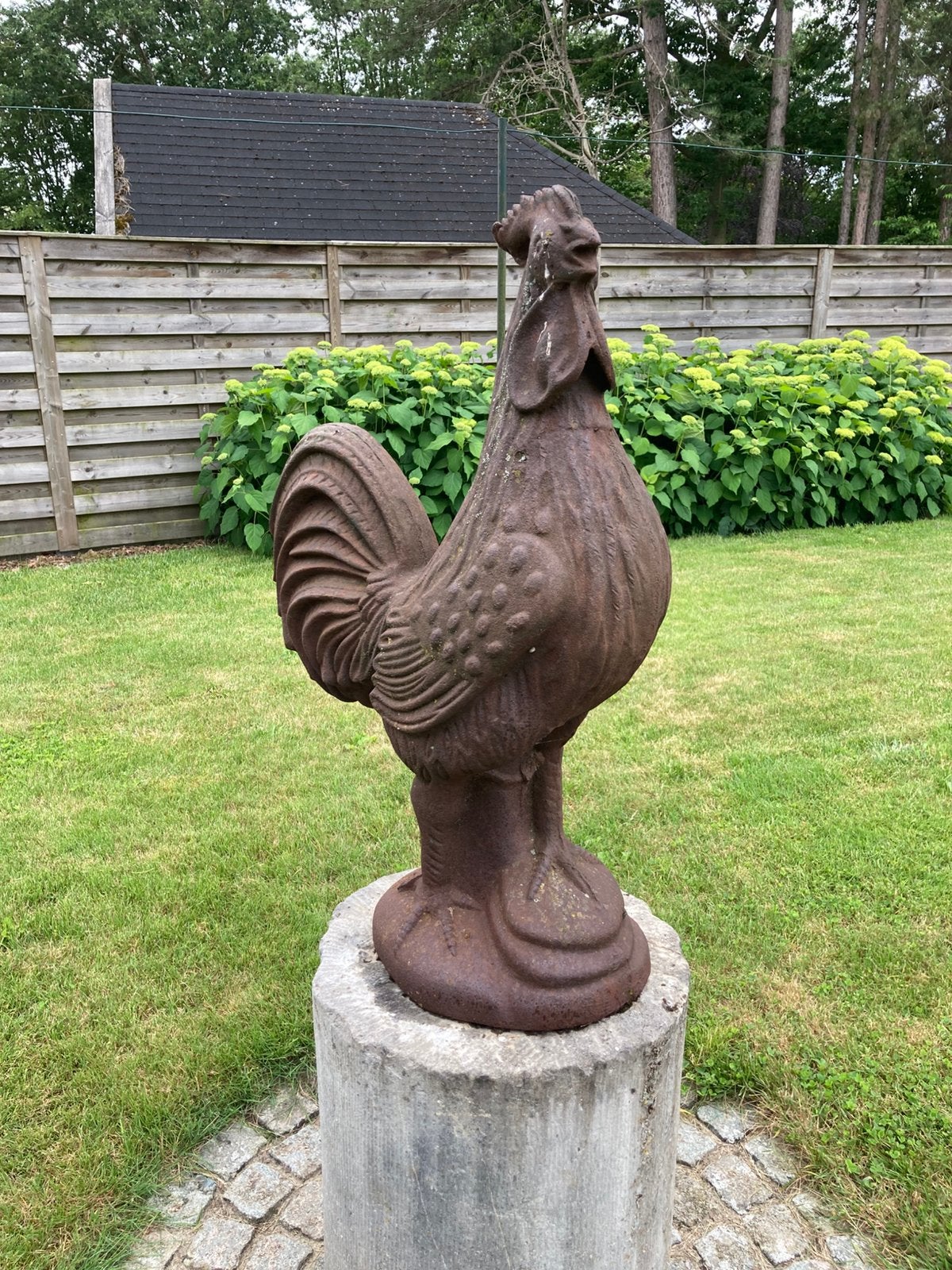 Gietijzeren prachtige haan, Tuin en Terras, Tuinbeelden, Ophalen, Zo goed als nieuw, Metaal, Dierenbeeld