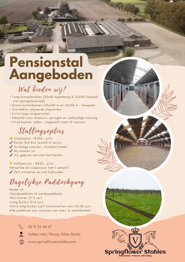 pensionstal aangeboden - stalling vrij nabij Tilburg/Breda, Animaux & Accessoires, Box & Pâturages, Mise à l'étable