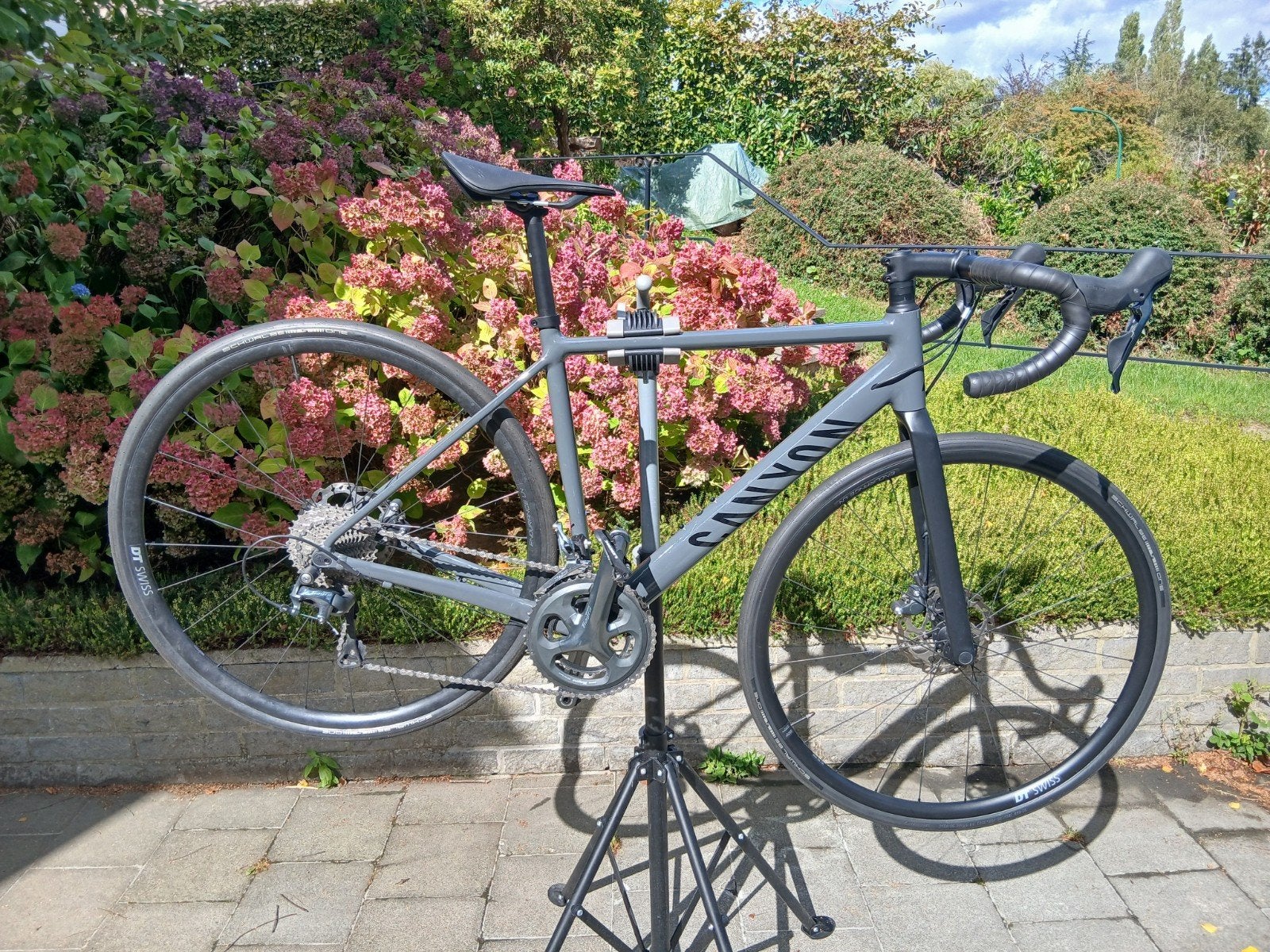 Canyon Endurance 6, Enlèvement, Comme neuf