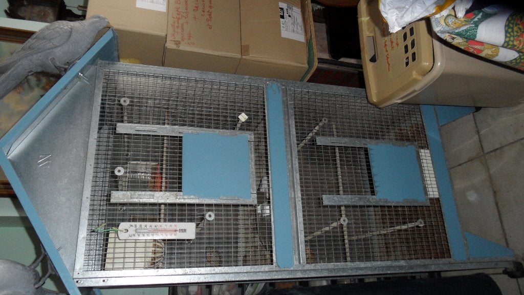 av cage a oiseaux, Animaux & Accessoires, Autres accessoires pour animaux, Enlèvement, Utilisé