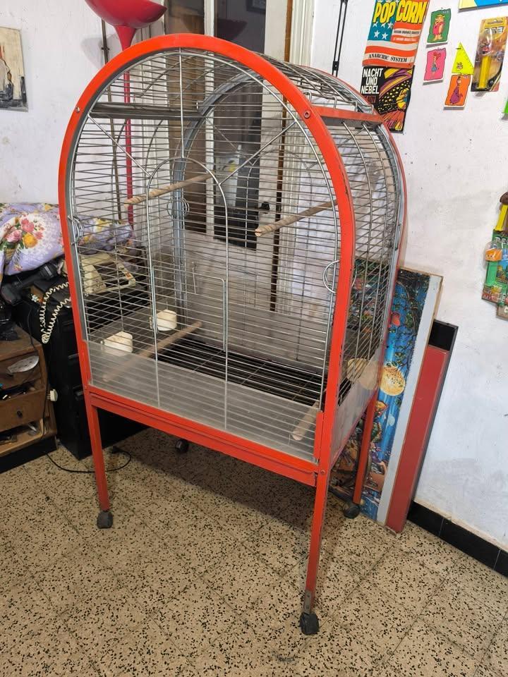 Grande Cage a perroquet volière ( voliere oiseaux animaux, Animaux & Accessoires, Enlèvement, Utilisé, Volière