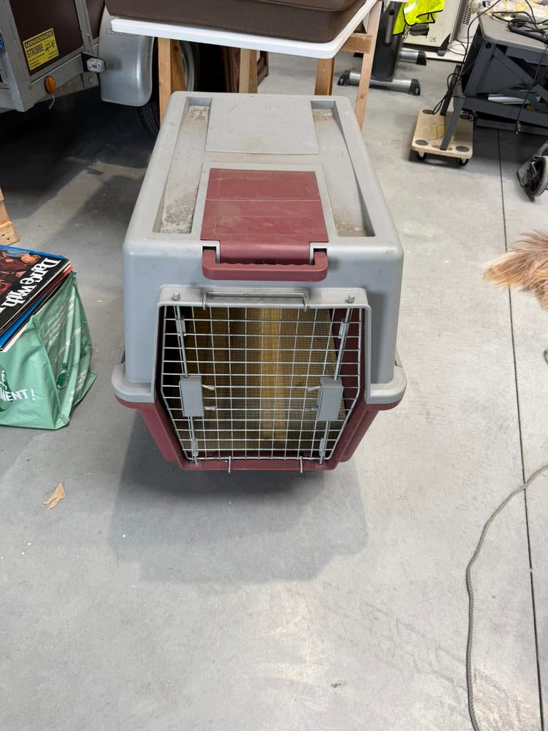 Honden bench op wielen, Ophalen, Gebruikt