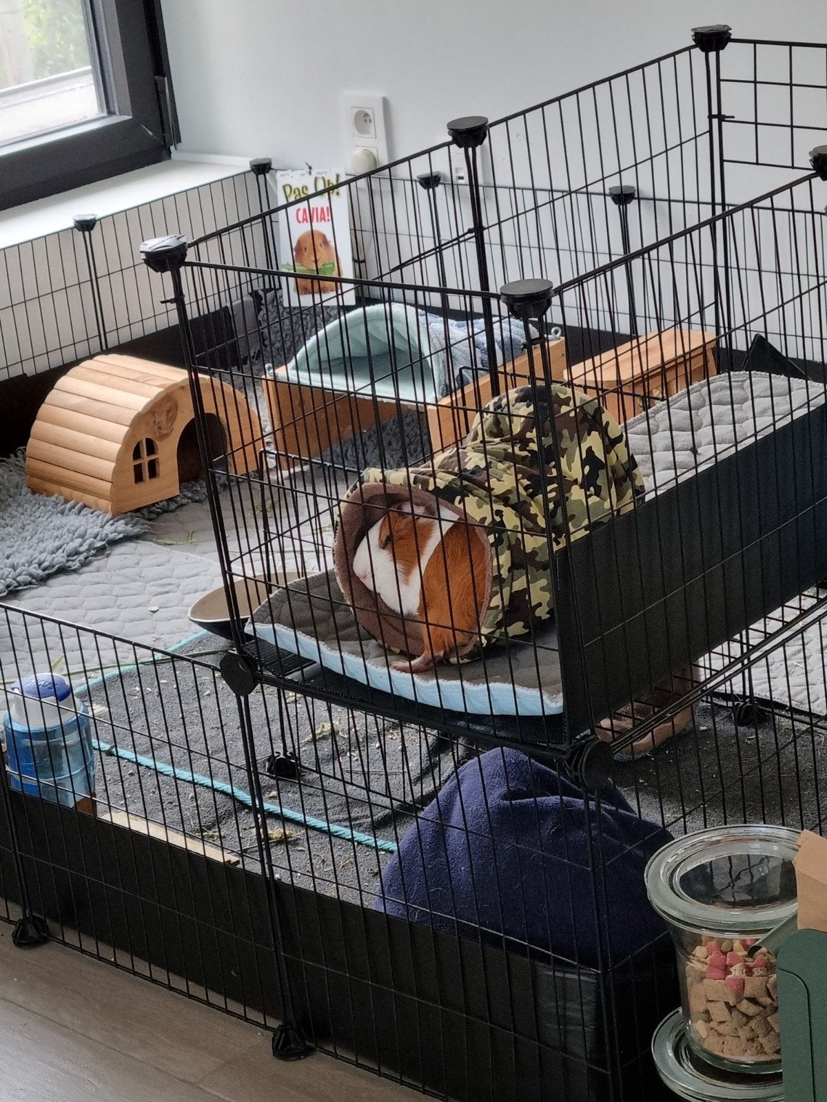 Cavia draadkubus met accessoires, Enlèvement, Utilisé, Enclos, Cobaye