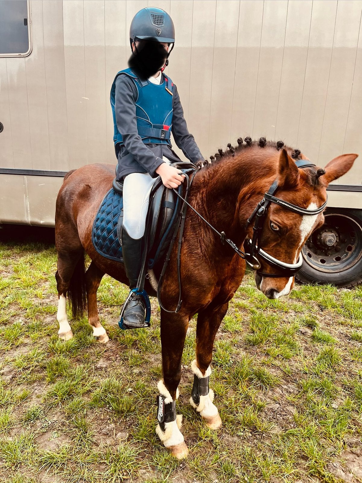 Super lieve c-pony te koop, Dieren en Toebehoren