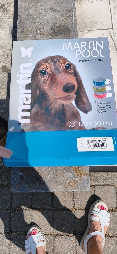 piscine neuf chien, Jardin & Terrasse, Piscines, Enlèvement ou Envoi, Rond, Comme neuf, Piscines hors sol