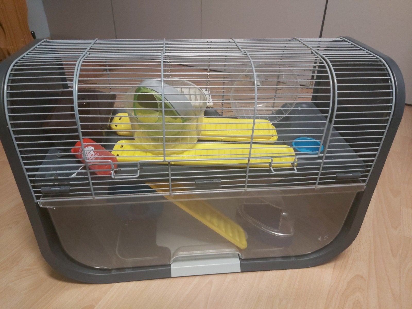 Cage pour hamsters, Enlèvement
