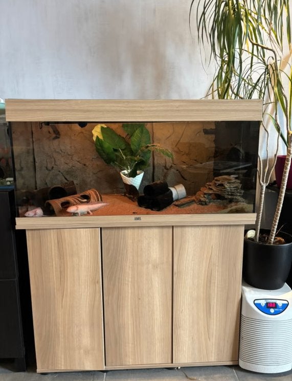 Complete Aquarium set - Axolotls, Decoratie, Plantes incluses, Comme neuf, Enlèvement