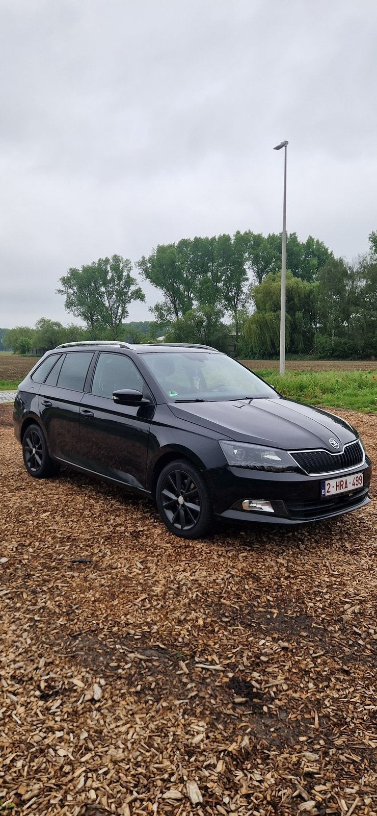 Auto, Auto's, Skoda, Voorwielaandrijving, Stof, 4 cilinders, Zwart