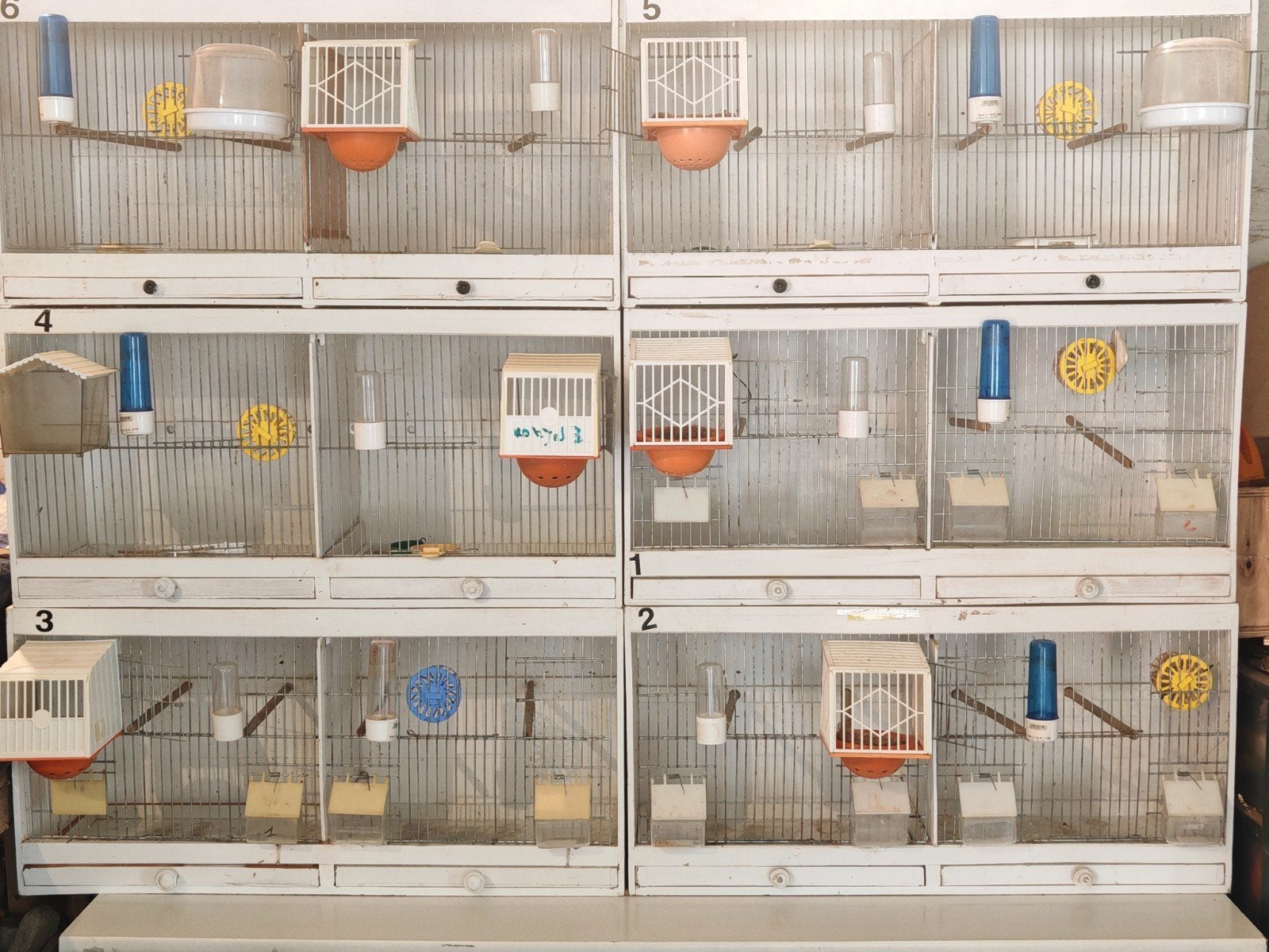 Cages de reproduction canaris, Animaux & Accessoires, Enlèvement
