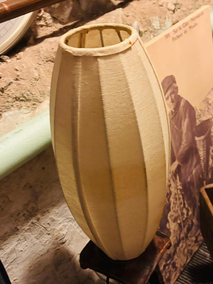 Lamp, Dieren en Toebehoren, Ophalen, Gebruikt, Verlichting