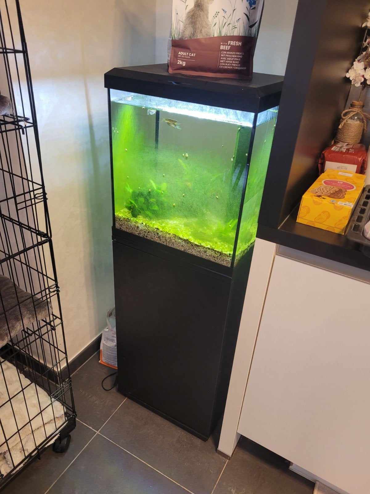 AQUARIUM 54L. 120€, Enlèvement ou Envoi