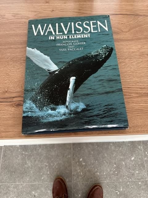 Walvissen in hun element, Enlèvement ou Envoi, Comme neuf, Autres espèces