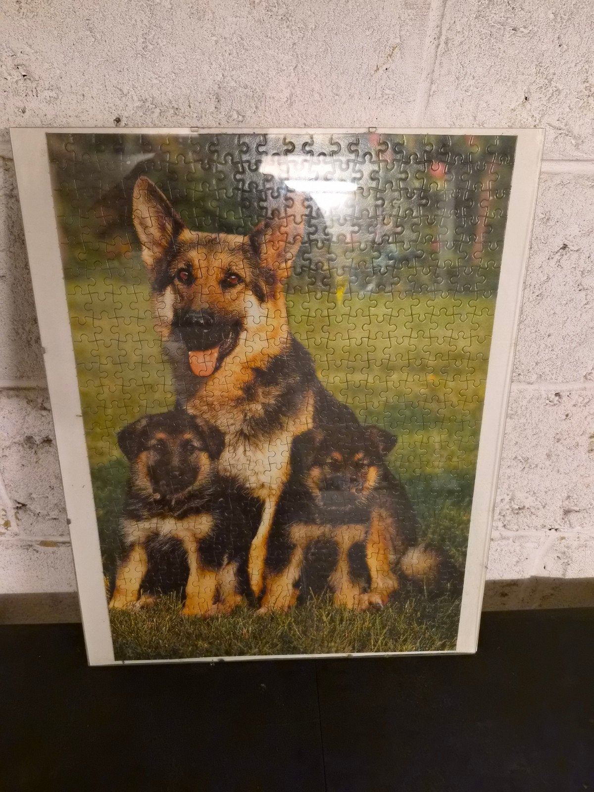 cadre puzzle berger allemand, Enlèvement