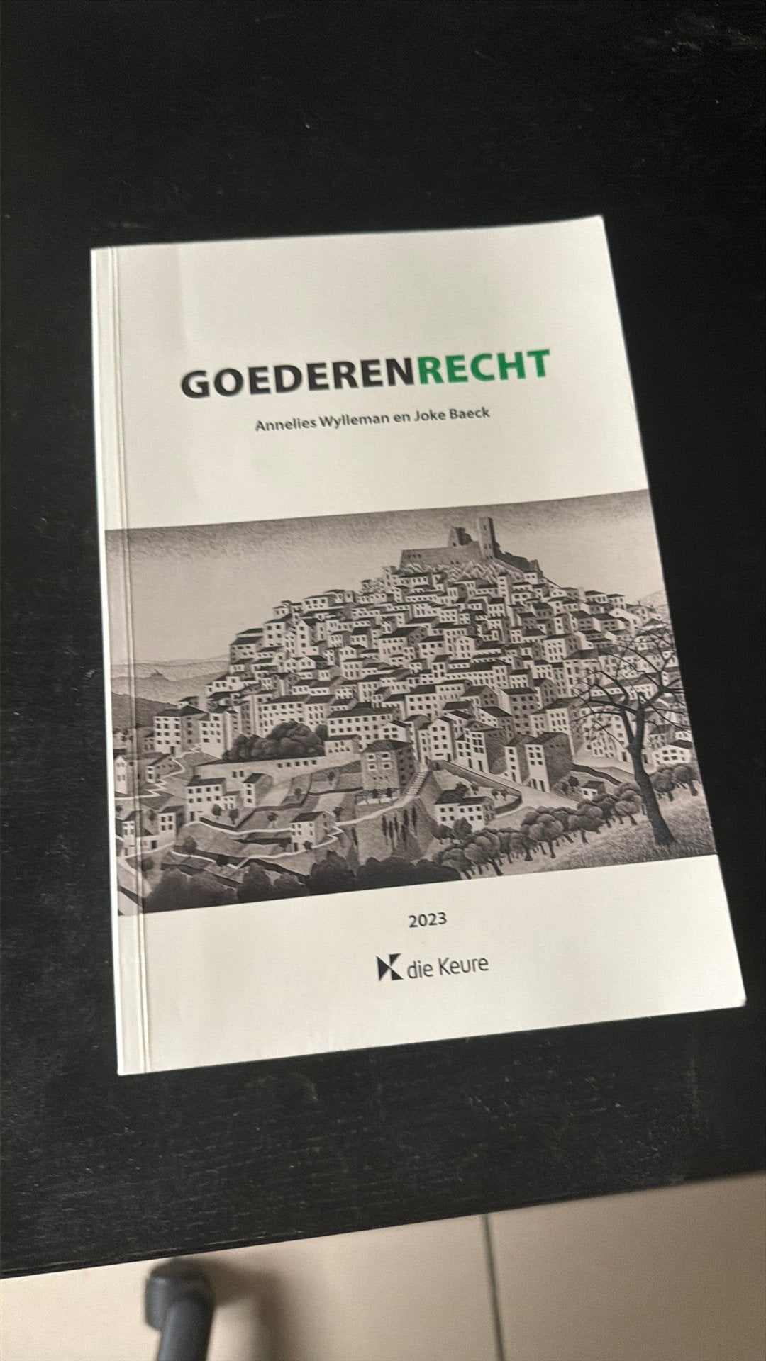 Joke Baeck - Goederenrecht 2023, Boeken, Ophalen of Verzenden, Joke Baeck; Annelies Wylleman