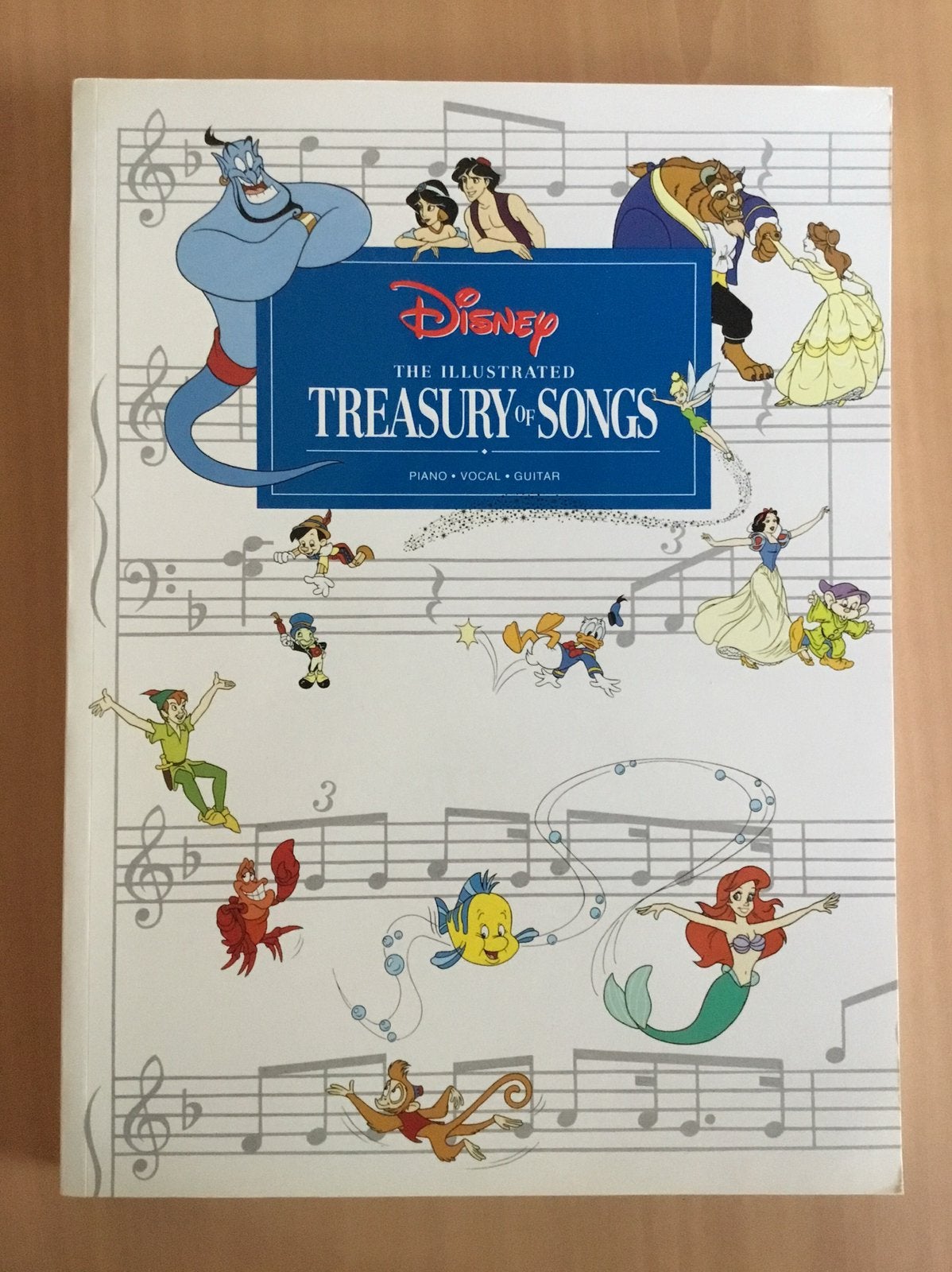 Boek Disney Treasury of Songs, Livres, Enlèvement ou Envoi