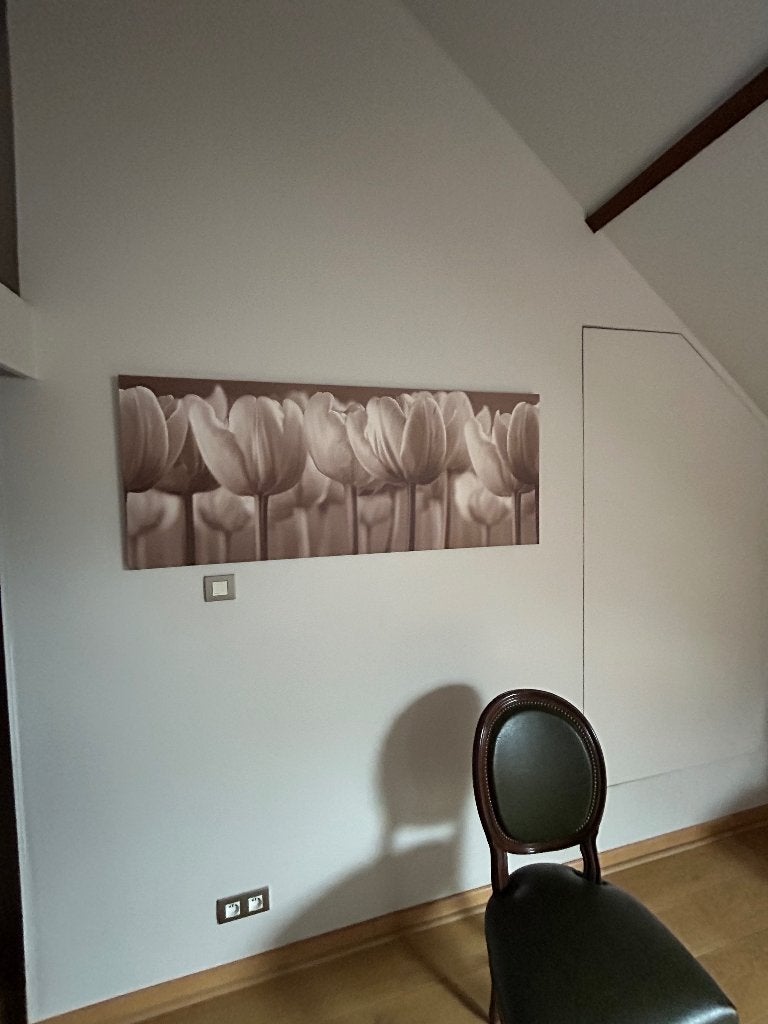 Gratis canvas tulpen, Ophalen, Zo goed als nieuw, Wandbord of Wandpaneel, 150 cm
