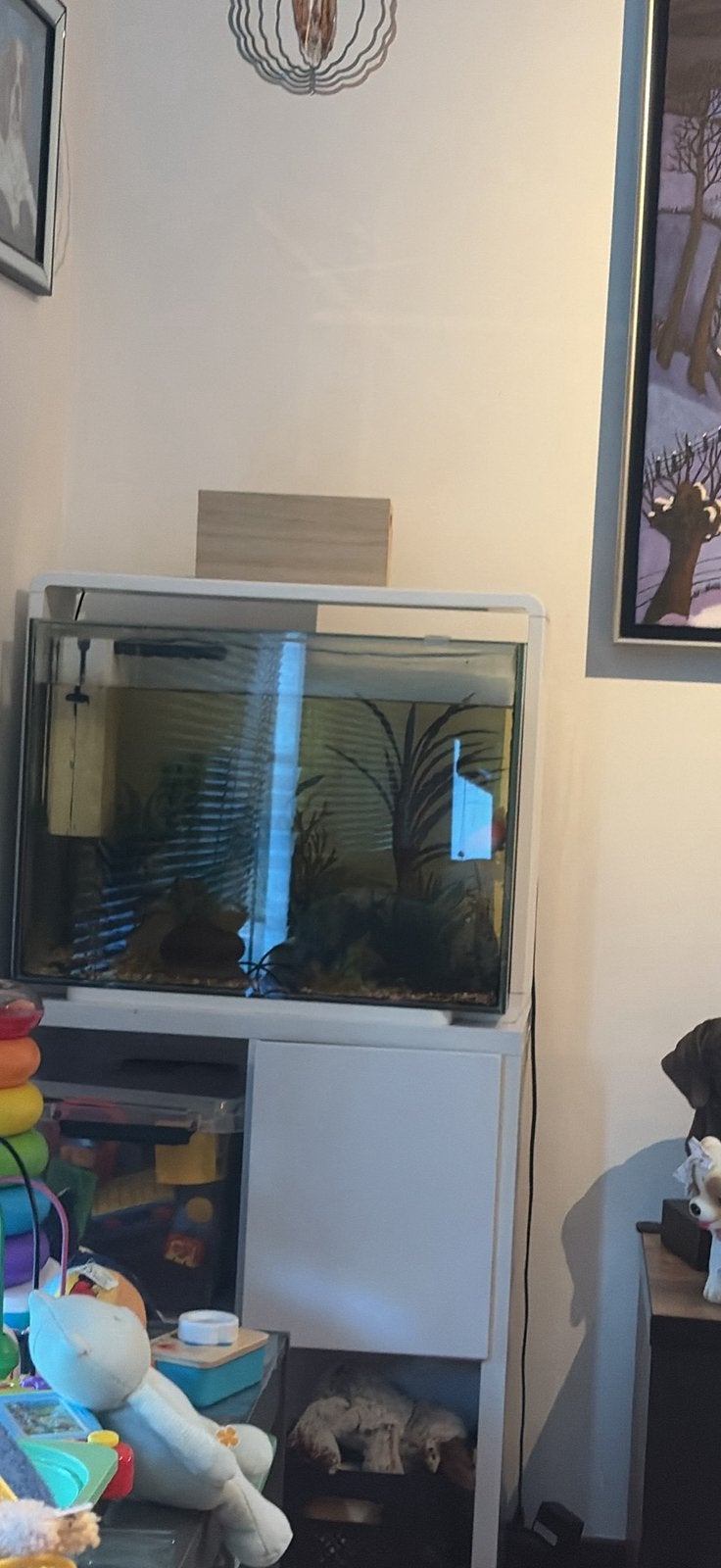 Aquarium met kast en 2 vissen, Dieren en Toebehoren, Ophalen, Inclusief vissen, Gebruikt, Aquariummeubel