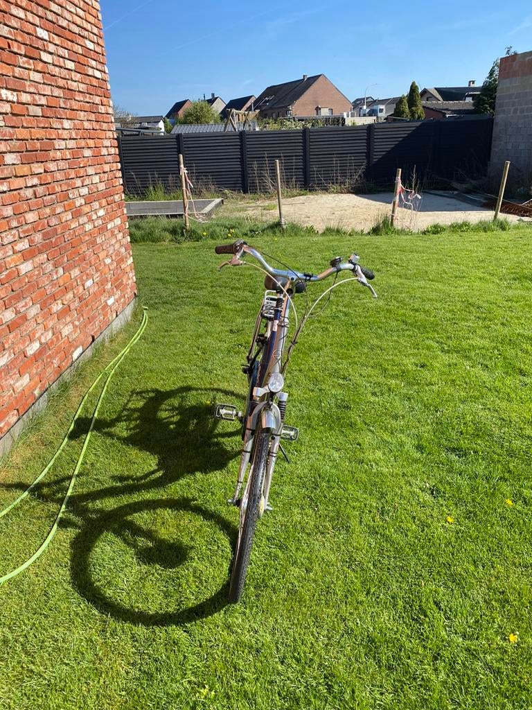 Stadsfiets te koop – rijklaar, Ophalen, Gebruikt, Giant, Versnellingen