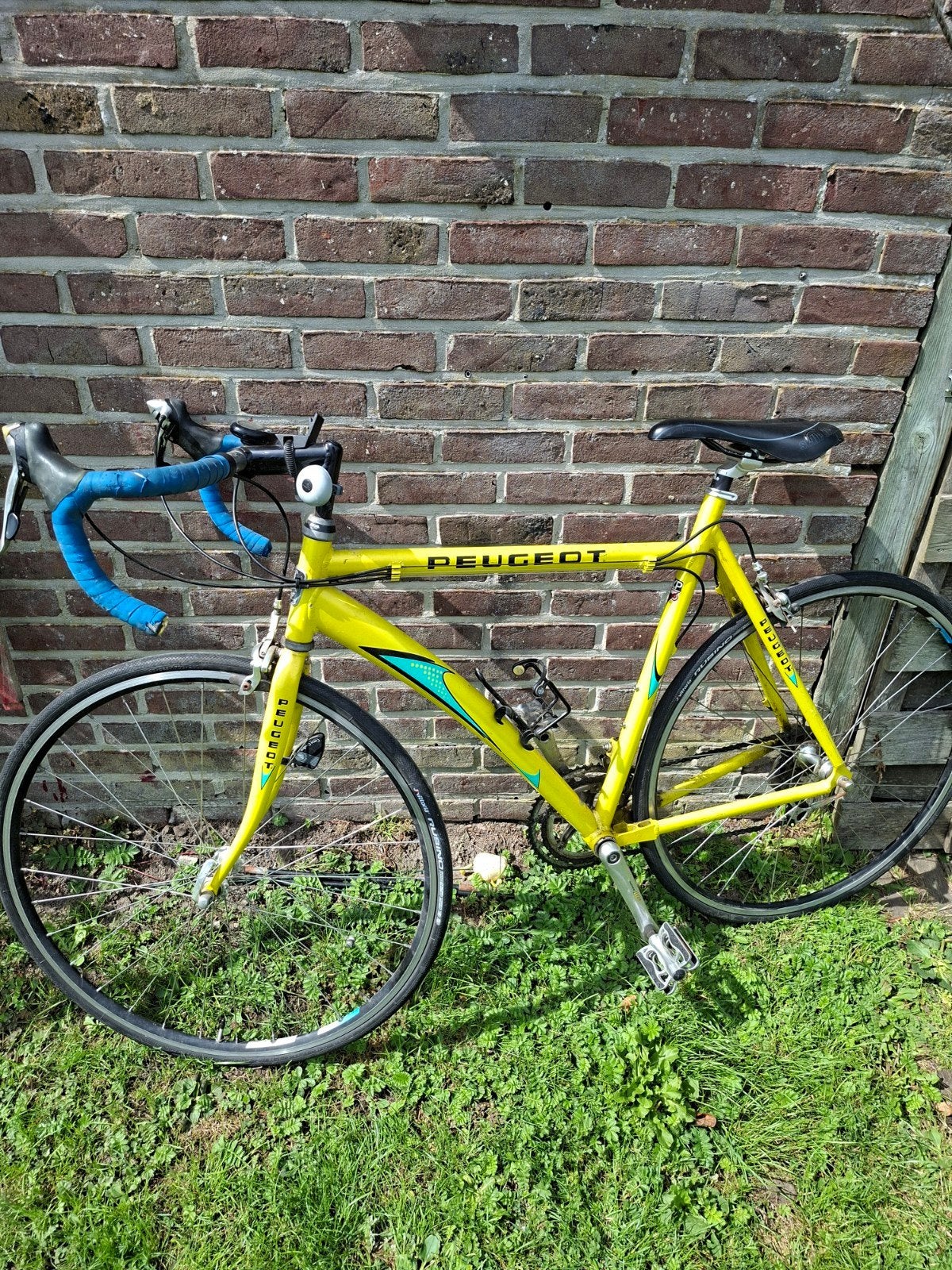 koersfiets  peugot, Ophalen