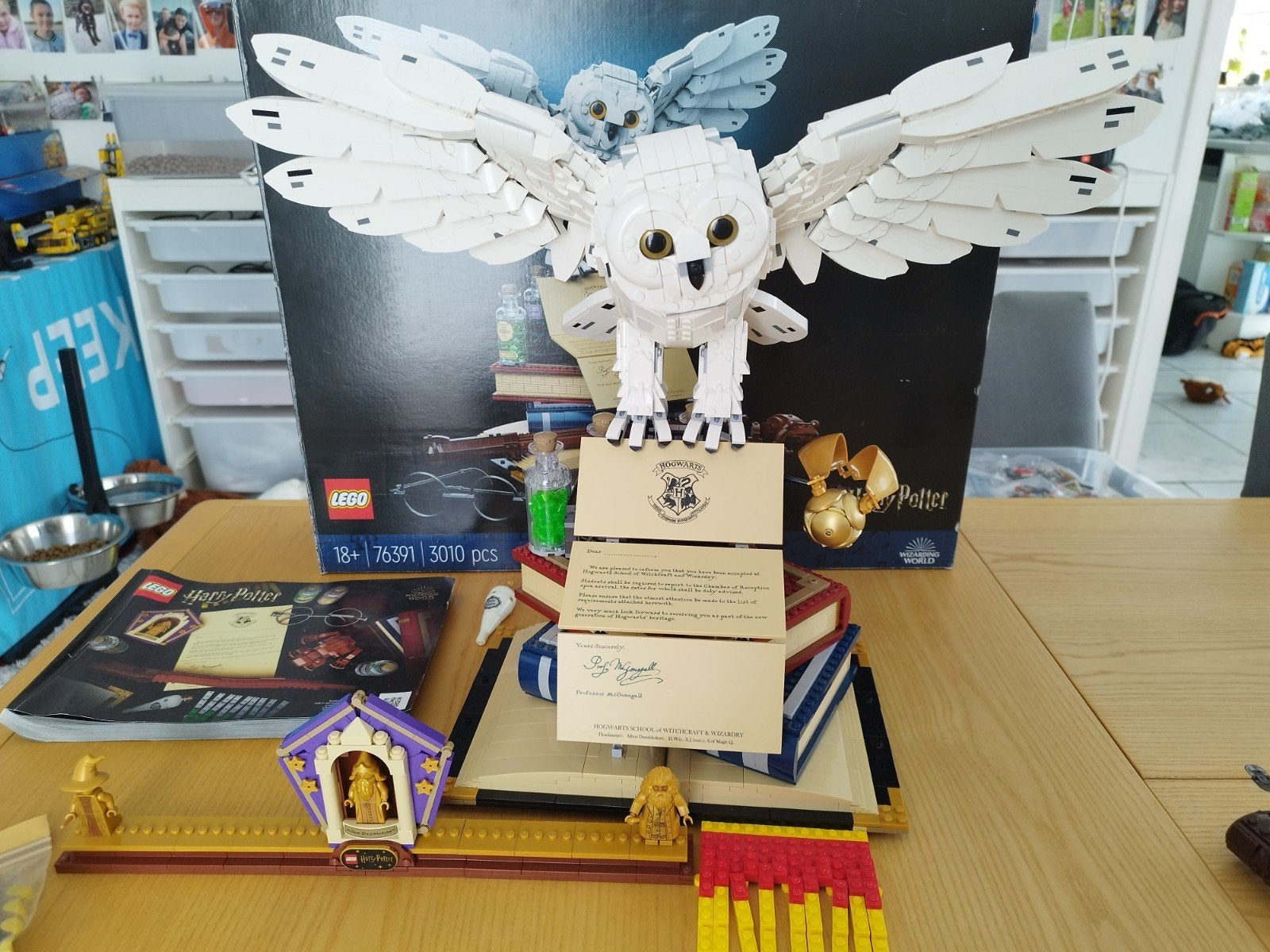 lego Harry Potter Hogwarts Icons collectors edition 76391, Enlèvement ou Envoi, Lego, Harry Potter