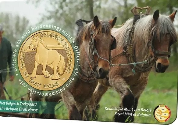 België 2026 - 2,5 euro in coincard - Belgisch Trekpaard - BU, Ophalen of Verzenden, België, Overige waardes