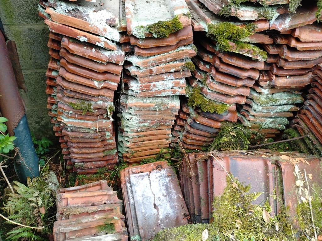 Tuiles anciennes GRATUITES, Bricolage & Construction, Enlèvement, Tuiles