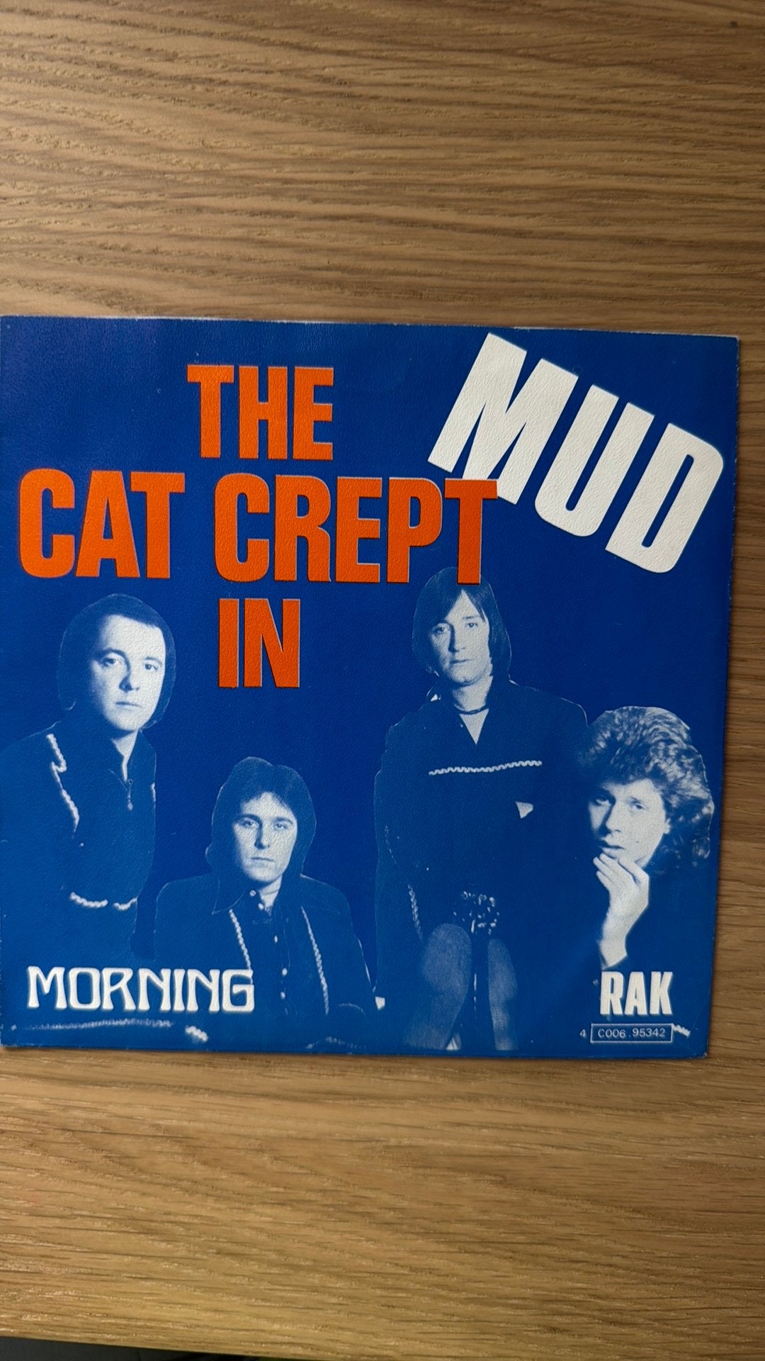 Mud – The Cat Crept In, Cd's en Dvd's, Ophalen, Gebruikt, Pop