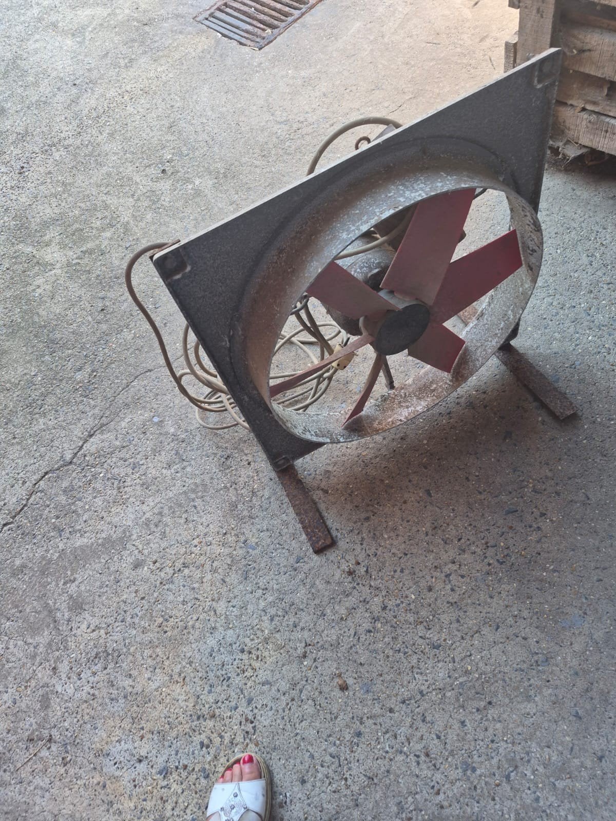 Ventilator, Dieren en Toebehoren