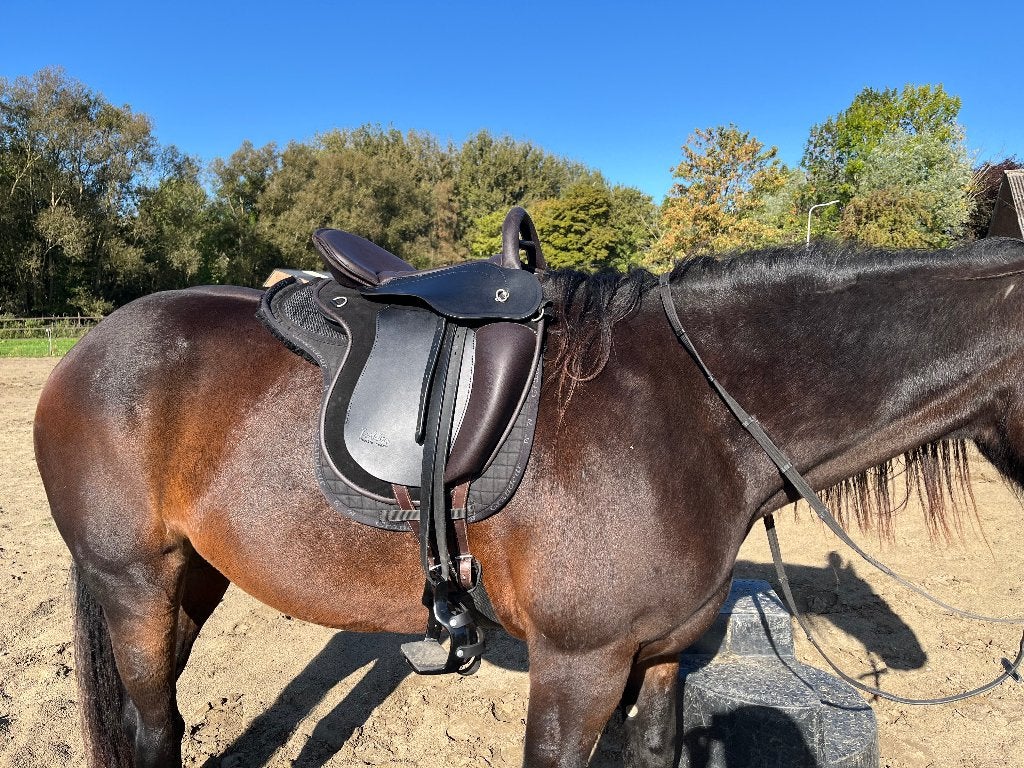 Trekker Zadel, Dieren en Toebehoren, Paarden en Pony's | Zadels, Ophalen, Aanpassysteem, Overige merken, M (17 inch)