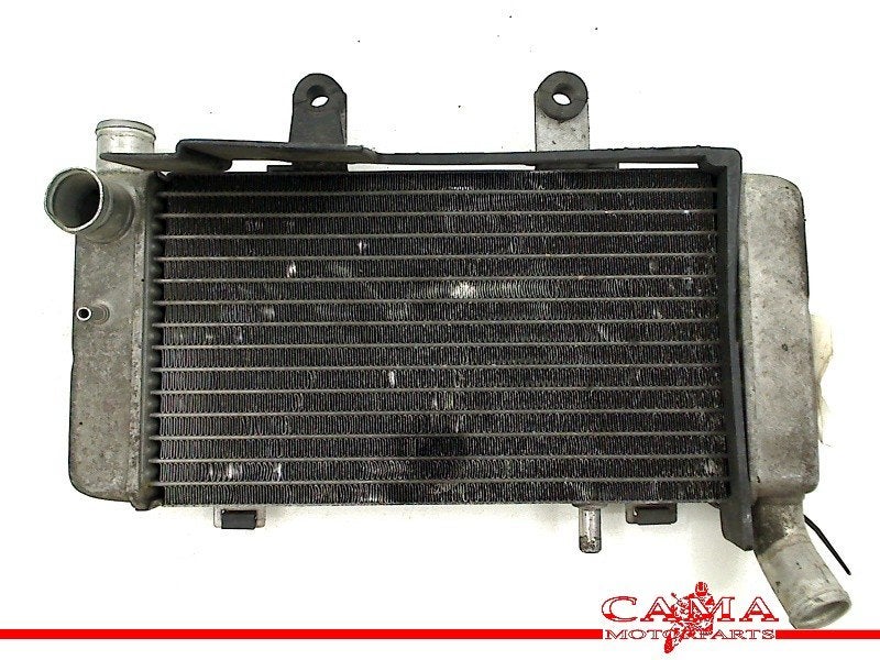 RADIATEUR RECHTS Honda VFR 800 Fi 1998-2001 (VFR800Fi RC46), Dhr. S. di Majo, Gebruikt, Info@cama-motorparts.nl, P.J. Troelstraweg 8 8
3144 CX  MAASSLUIS, NL