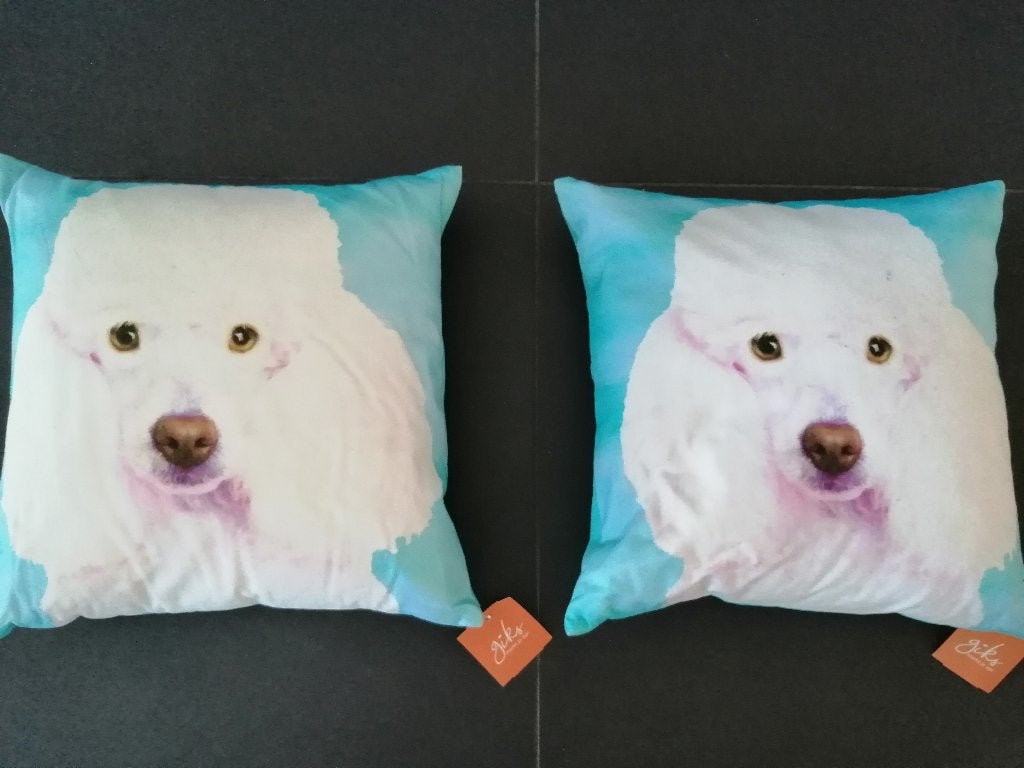 Leuke nieuwe kussens, Enlèvement ou Envoi, Neuf, Coussin décoratif, Housse amovible