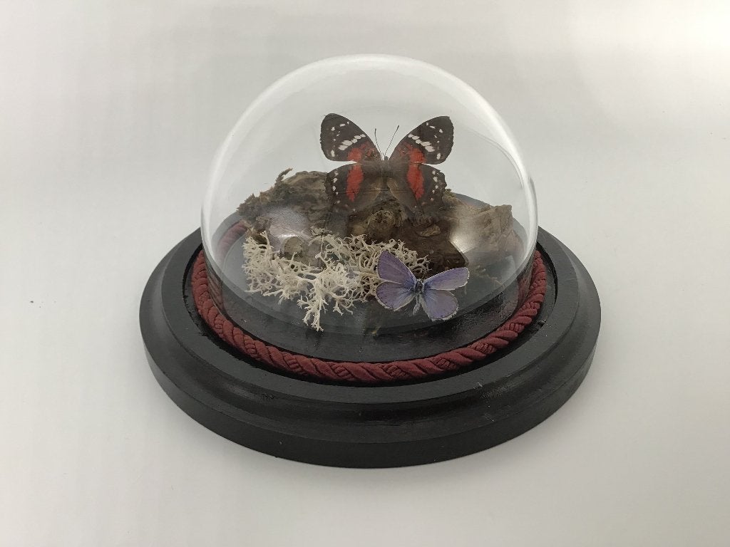 ‍️‍️‍️ VADERDAG-KADO ‍️‍️‍️, Ophalen of Verzenden