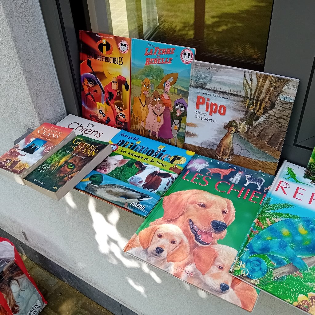 Livre et bd 1 euro piece  , prix en lot, Enlèvement, Utilisé