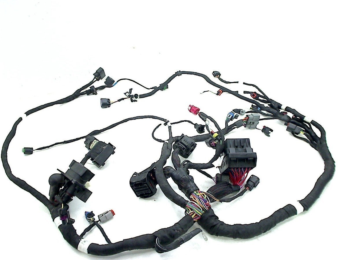 FAISCEAU DE CÂBLAGE DIVERS Chief Dark Horse (2416078), Dhr. S. di Majo, Utilisé, Info@cama-motorparts.nl, P.J. Troelstraweg 8 8
3144 CX  MAASSLUIS, NL