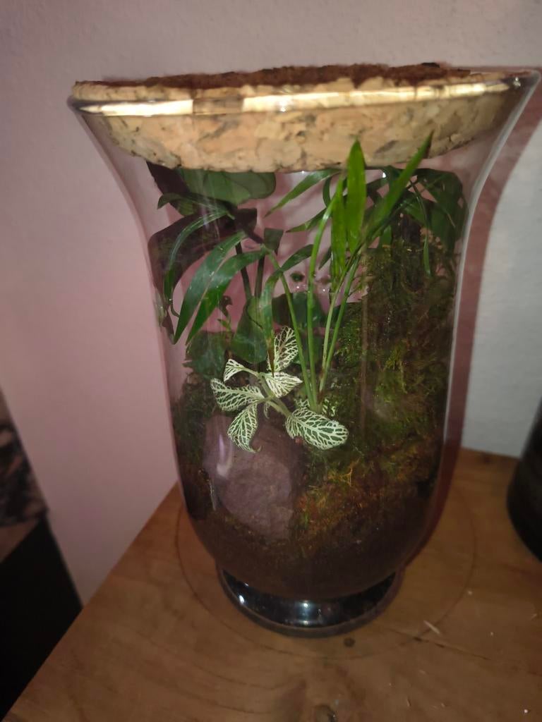 Klein plantenbiotoop, Ophalen