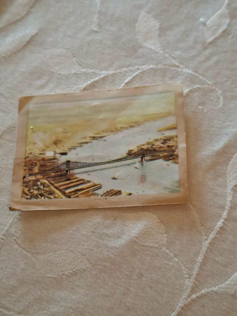 Prentje/Chromo : Delawarebrug/Chocolade Jacques, 1960 tot 1980, Gebruikt, Ophalen of Verzenden, Prent