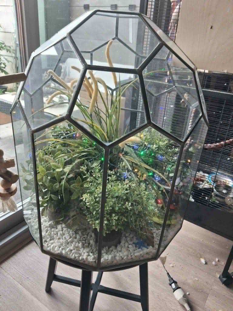 Serre terrarium, Ophalen, Zo goed als nieuw, Modern, Wit