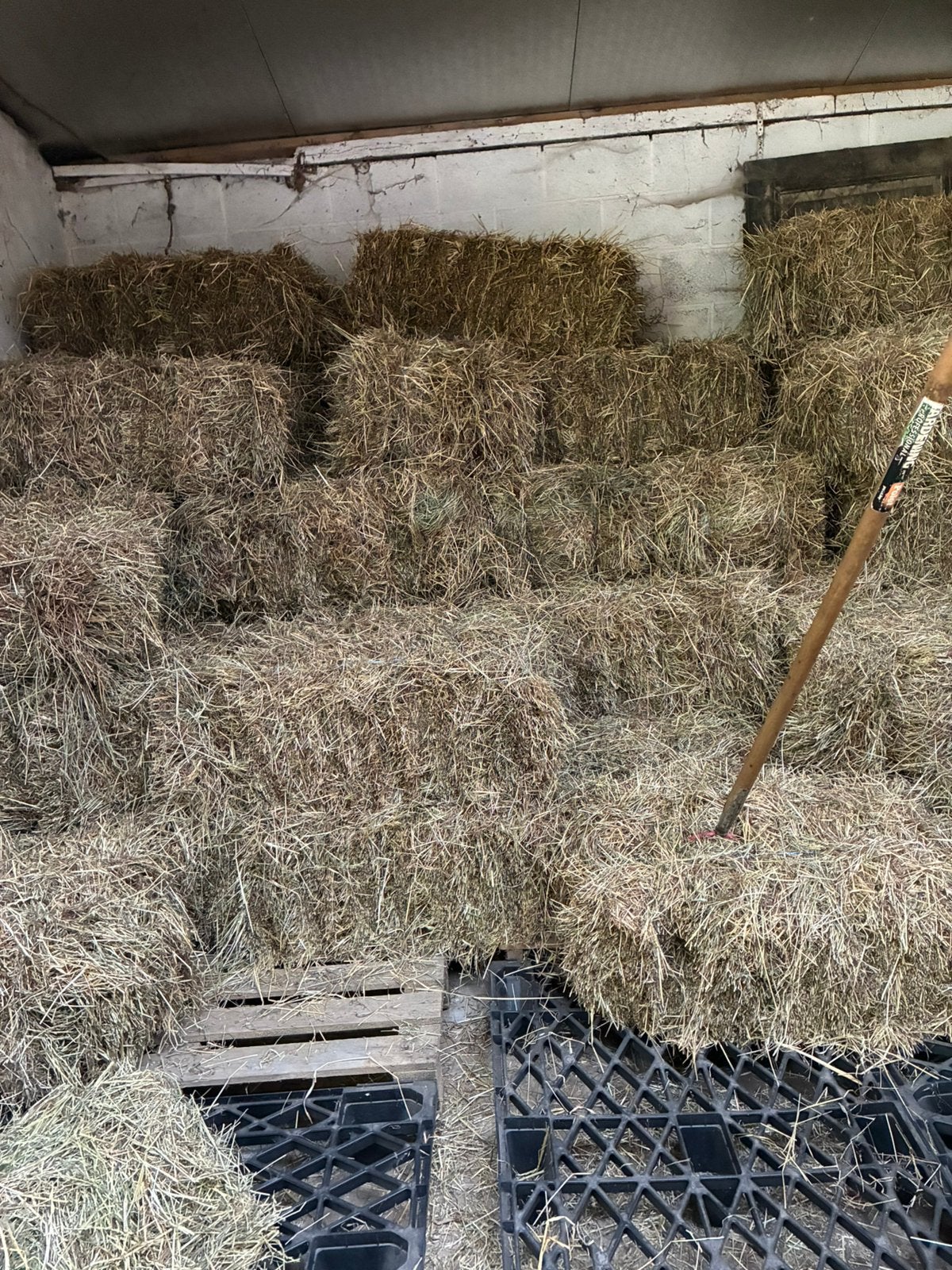 Kleine baaltjes hooi te koop, Ophalen
