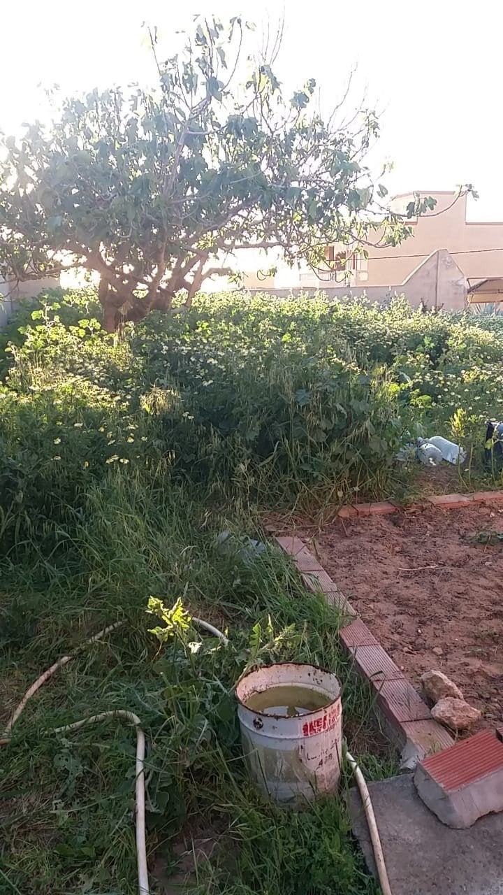 terrain et maison à vendre à Nador